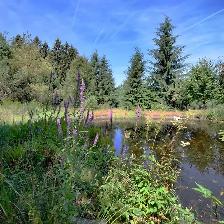 Vakantiehuis Modern Holiday In Butgenbach Near Forest *
