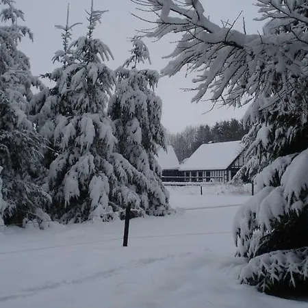 Modern Holiday In Butgenbach Near Forest *