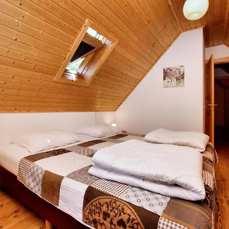 Modern Holiday In Butgenbach Near Forest Vakantiehuis